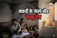 Spider Webs Vastu Effects