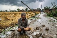 UP Weather Alert, UP Rain Update, यूपी में बारिश, ओलावृष्टि का अलर्ट