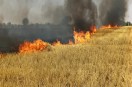 Claims of stubble management fail: Daily fires cause huge losses