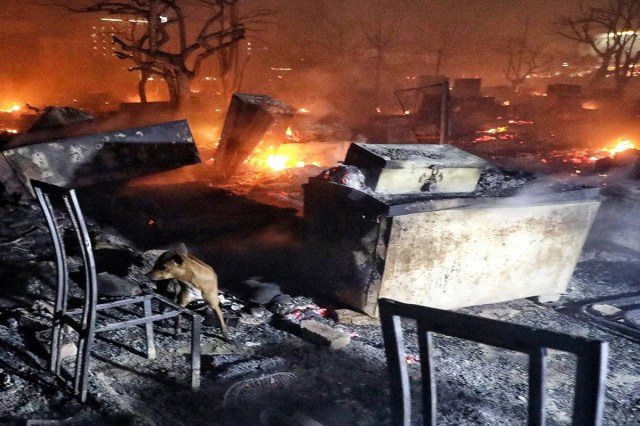 Lucknow Slum Vikas Nagar Fire