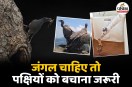 Indian Endangered Birds