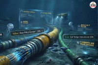 global network impact