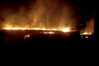 Wheat Harvesting aag news