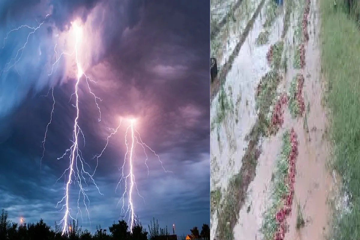 CG Weather: छत्तीसगढ़ में कुदरत का कहर, आकाशीय बिजली गिरने से युवक की मौत, बेमौसम बारिश से फसलें तबाह