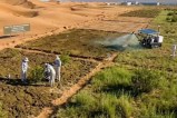 Chinese scientists converted barren desert sand into fertile soil
