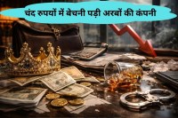 BR Shetty business empire