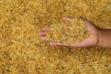 Increase in crop prices