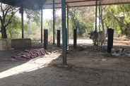 Youth Jumps into Burning Funeral Pyre Semi-Burnt Body Found in Crematorium MP news