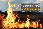 MP News