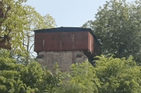 Bees Attack at Gadarwara Railway Station Dozen Passengers Injured MP news