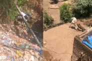 Leopard Attack Wreaks Havoc Youth Risks Life to Confront It 4 Injured MP news