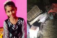 tractor-trolley collided with truck in horrific road accident in rajgarh mp news