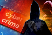 Cyber Fraud