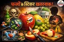 food safety and standards authority of india