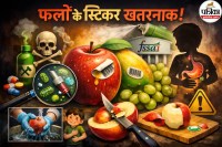 food safety and standards authority of india