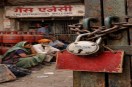 Gas Cylinder Crisis: एक माह बाद भी नहीं मिल पा रहा सिलेंडर, इधर एजेंसी में लटका ताला