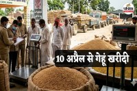 Wheat Procurement