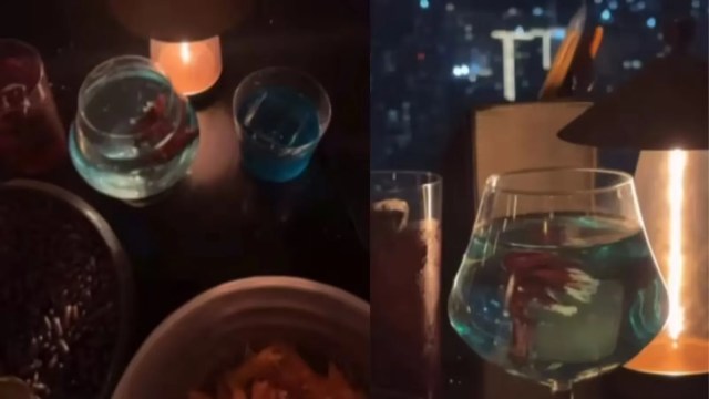 Sanjay Dutt discontinue live fish cocktail