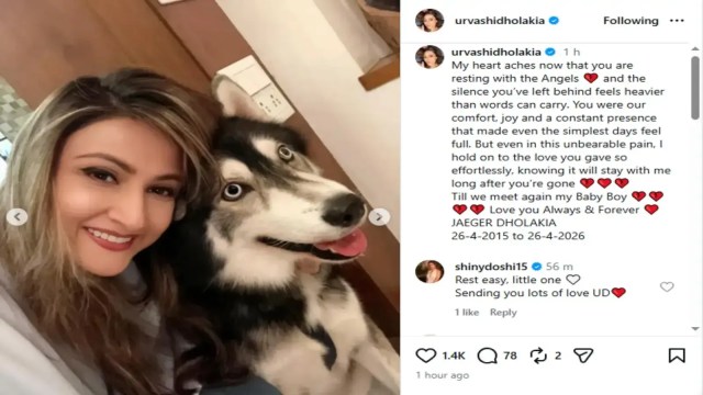 Urvashi Dholakia Pet Dog Death