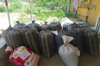 Jalore drug bust, Rajasthan narcotics seizure, ANTF Jalore action, Doda post seizure Rajasthan, Raniwara police operation, Gujarat drug route, car chase Rajasthan police, narcotics smuggling network, Rajasthan crime news, Praveen Vishnoi arrest, drug trafficking Rajasthan, MP to Rajasthan drug supply, illegal opium network, police naka checking Rajasthan, Jalore latest news