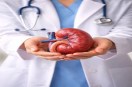 kidney donation