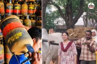 CBG Plant Rajasthan finds a brilliant solution to LPG crisis wedding homes Big relief