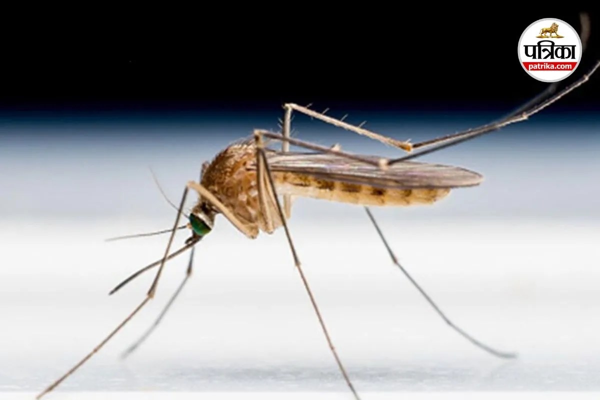 लापरवाही से मासूम की मौत (photo source- Patrika)