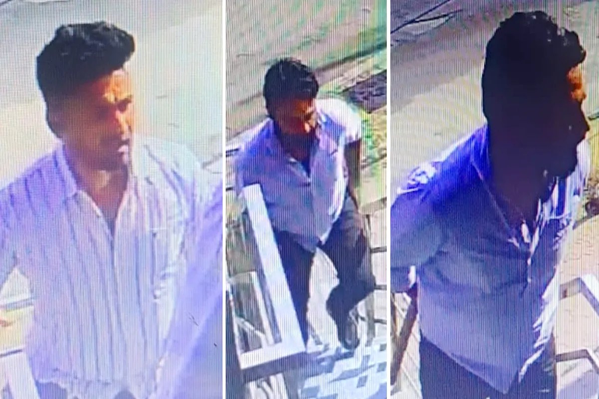 Insurance Company Manager