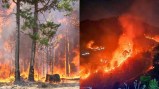 n view of the increasing incidents of forest fires in Uttarakhand, the leave of forest department employees has been cancelled