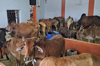 Short video poster image