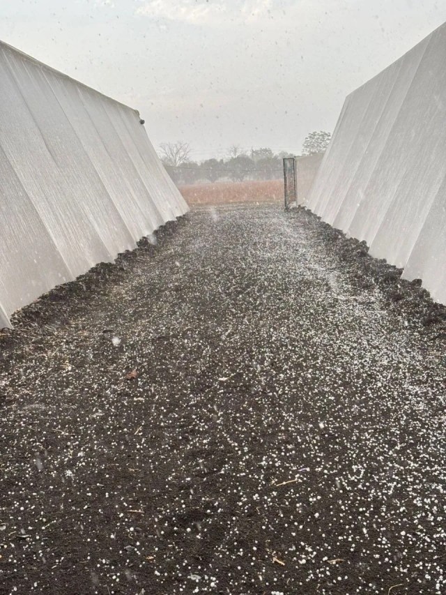 (फोटो- Patrika.com)