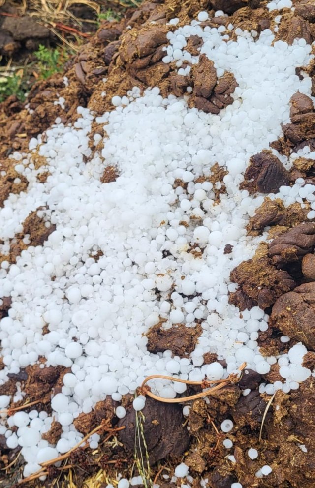 (फोटो- Patrika.com)