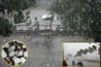 Rajasthan weather update, Jaipur weather alert, Rajasthan rain forecast April, Jodhpur storm update, Bikaner weather news, Barmer rain alert, Western Rajasthan storm, Rajasthan IMD warning, Jaipur thunderstorm forecast, Rajasthan aandhi rain news, Udaipur weather update, Kota rain forecast, Rajasthan hailstorm alert, Desert region weather Rajasthan, Rajasthan April weather news, Sriganganagar weather alert, Hanumangarh storm update, Phalodi rain forecast, Rajasthan western disturbance news, Rajasthan weather today update