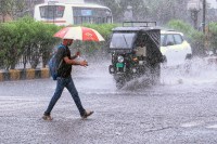rain in rajasthan
