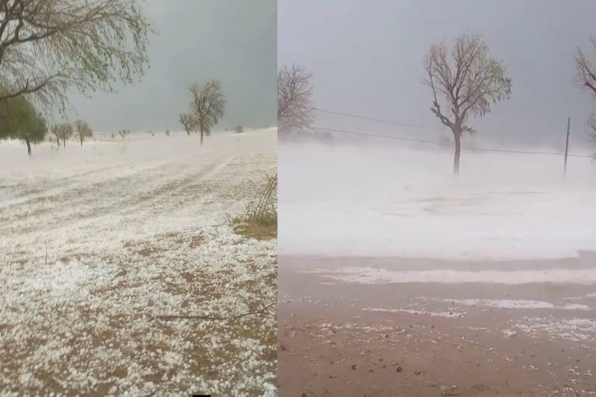 Rajasthan weather update, Rain and hailstorm in Rajasthan, Western disturbance effect Rajasthan, Rajasthan rain alert