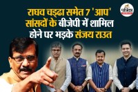 Sanjay Raut attacks BJP after Raghav Chadha and 6 other AAP MPs join them