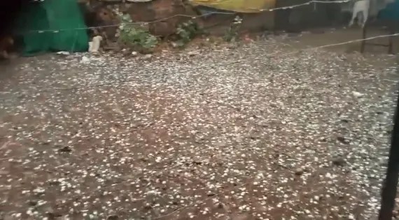 (फोटो- Patrika.com)