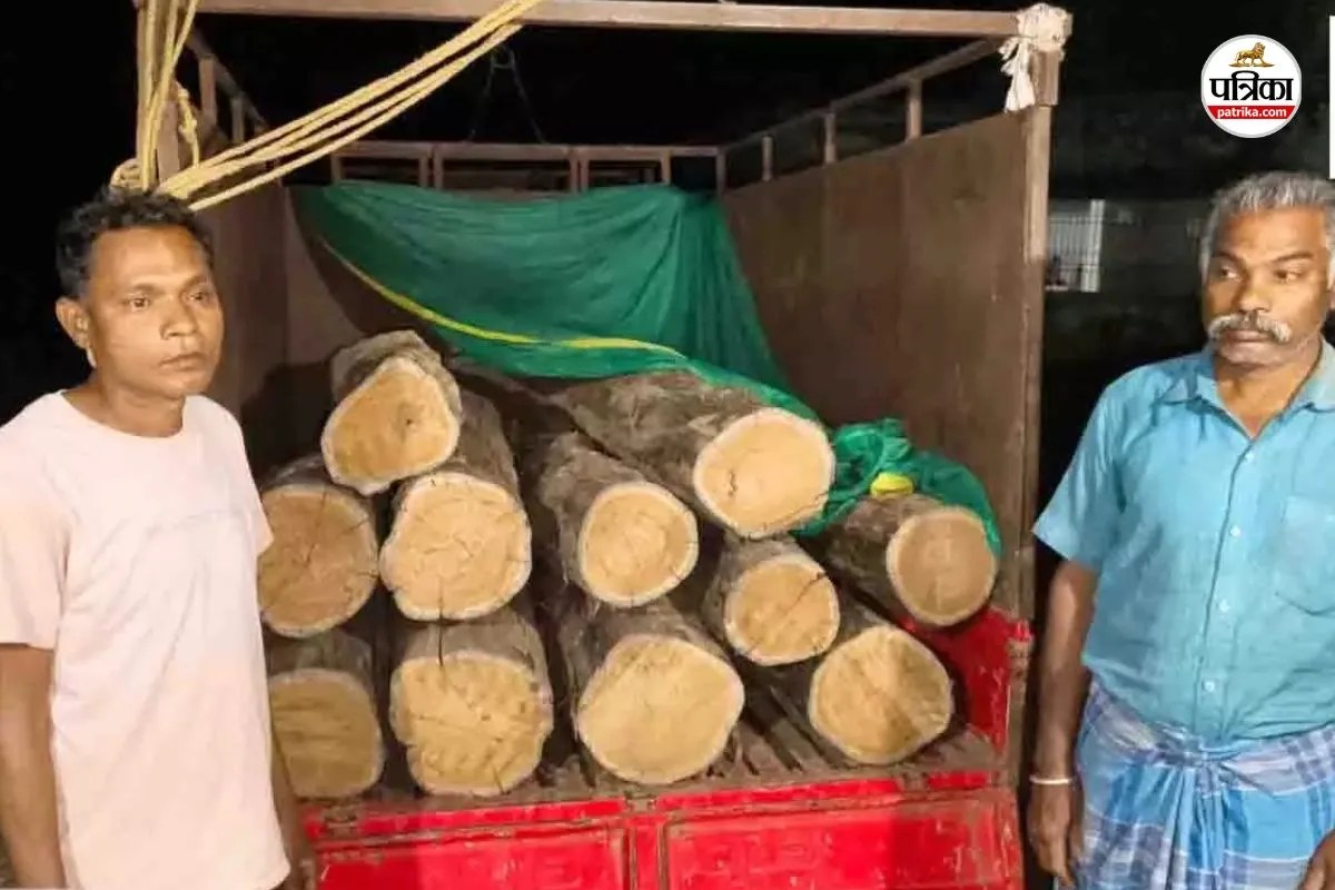 अवैध सागौन परिवहन पर बड़ी कार्रवाई! वन विभाग ने वाहन सहित लकड़ी जब्त, 5 आरोपी गिरफ्तार(photo-patrika)