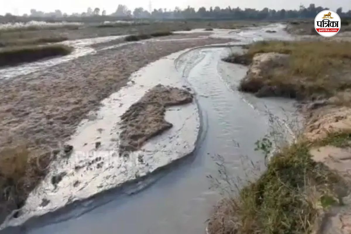 HTPP पर 18 करोड़ का जुर्माना! हसदेव नदी प्रदूषण मामले में बड़ी कार्रवाई, जांच में हुआ खुलासा(photo-patrika)