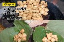 samosa