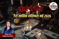 monthly tarot horoscope May 2026