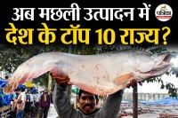 Fish Production growth in India