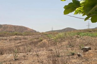 cricket stadium in every district