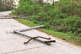 आंधी-तूफान का कहर (photo source- Patrika)