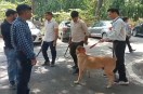 Kota News