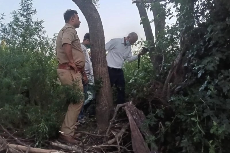 UP News, Husband-wife suicide