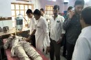 jsm news
