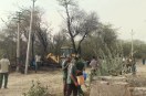 jsm