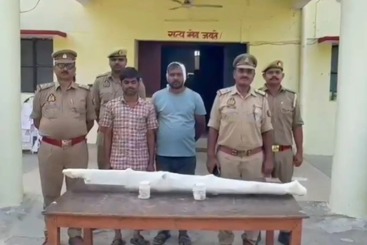 पकड़े गए आरोपी फोटो सोर्स विभाग