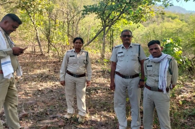 vulture census is being conducted in Katni district